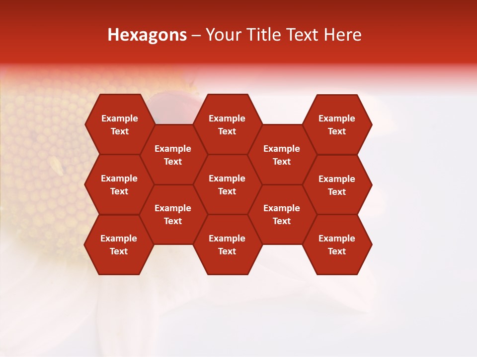 Daisy Red Zoology PowerPoint Template