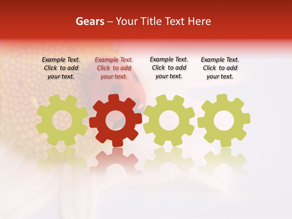 Daisy Red Zoology PowerPoint Template