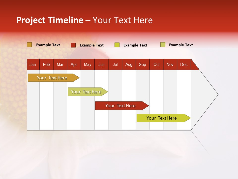 Daisy Red Zoology PowerPoint Template