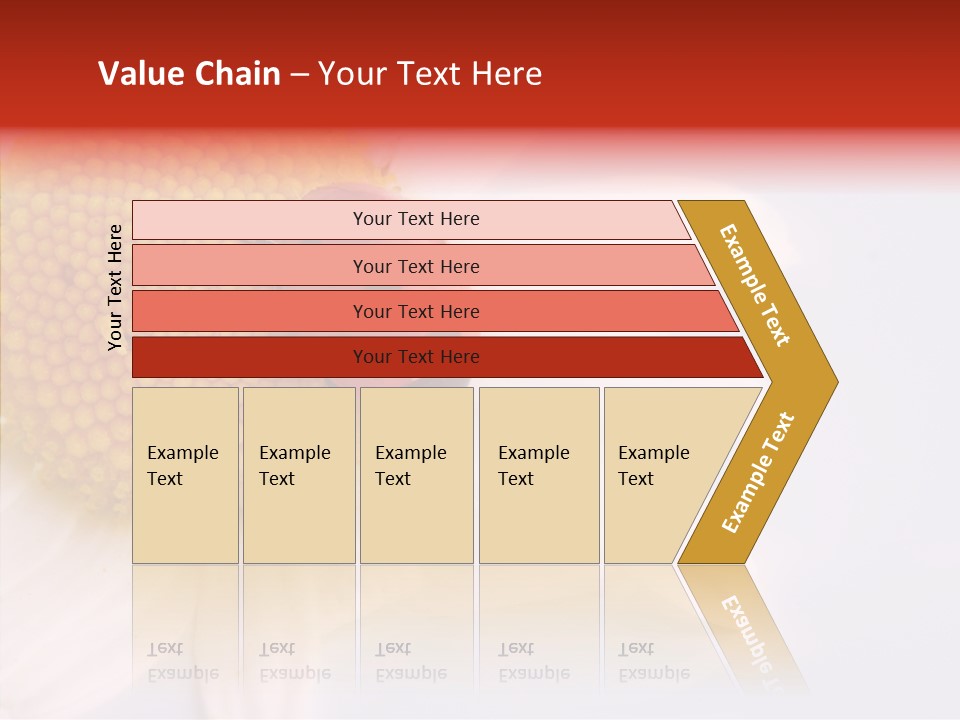 Daisy Red Zoology PowerPoint Template