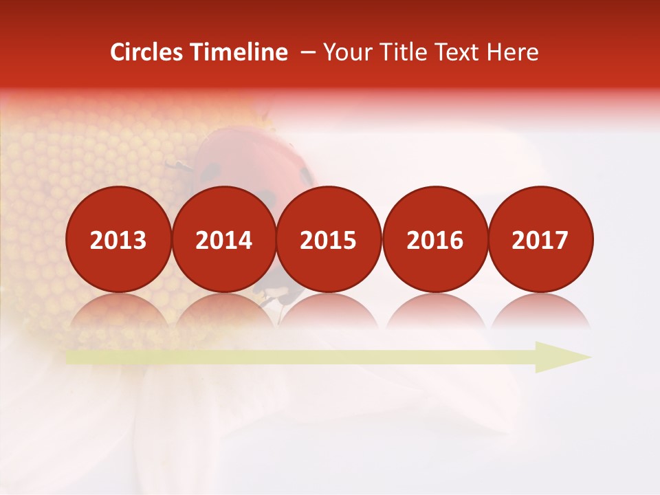 Daisy Red Zoology PowerPoint Template