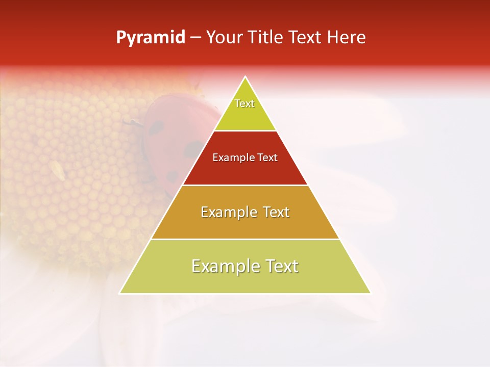 Daisy Red Zoology PowerPoint Template