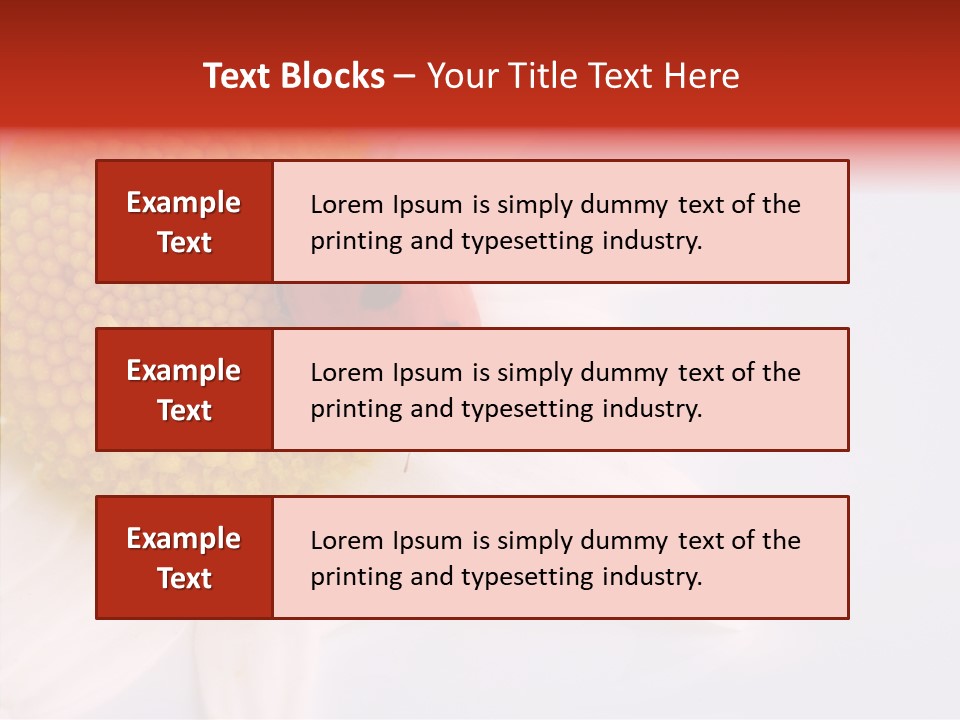 Daisy Red Zoology PowerPoint Template