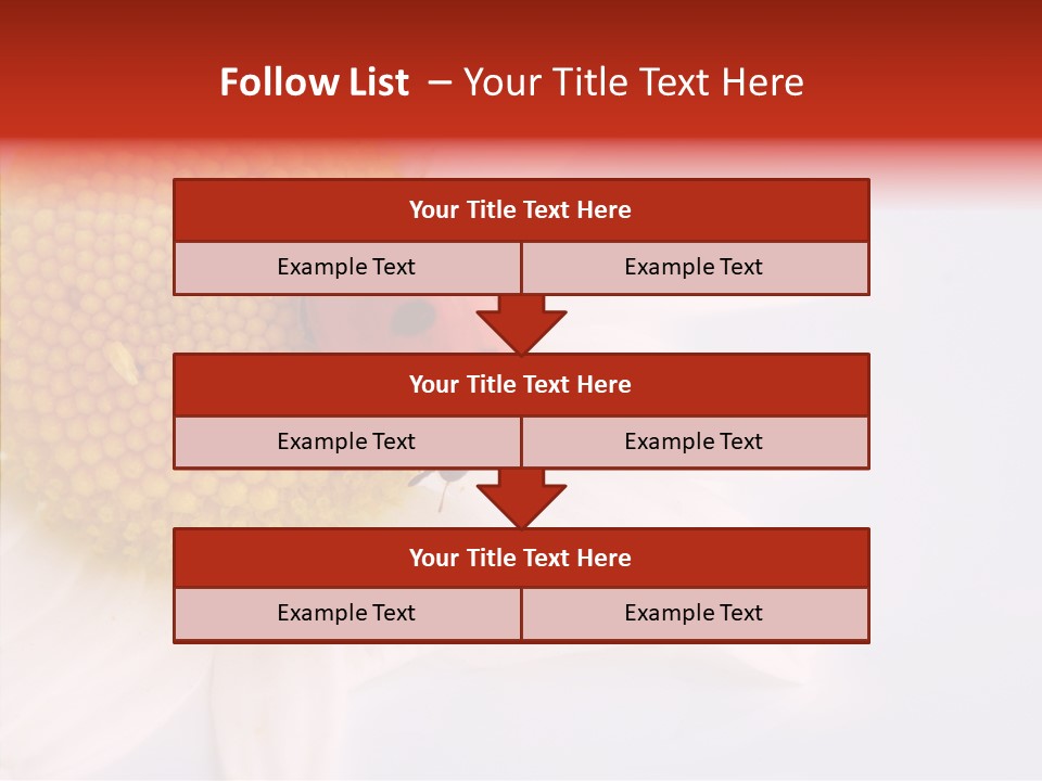Daisy Red Zoology PowerPoint Template