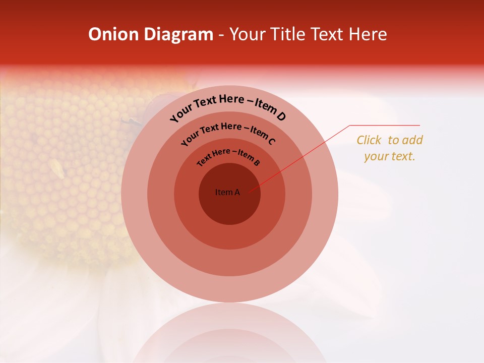 Daisy Red Zoology PowerPoint Template