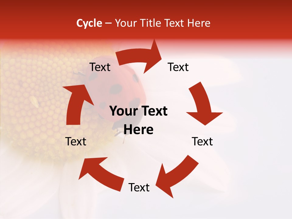 Daisy Red Zoology PowerPoint Template