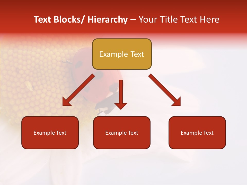 Daisy Red Zoology PowerPoint Template