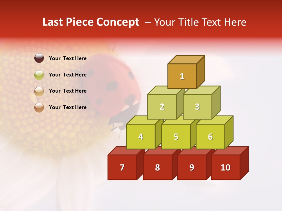 Daisy Red Zoology PowerPoint Template