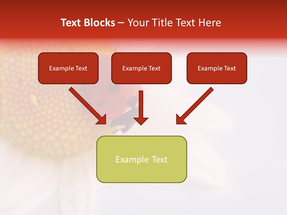 Daisy Red Zoology PowerPoint Template