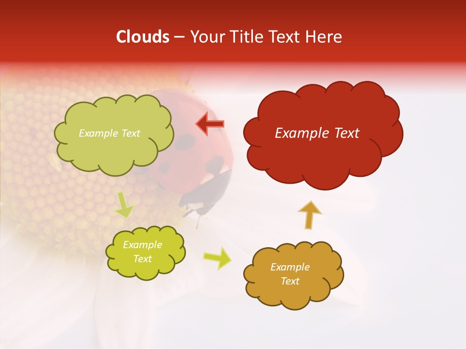 Daisy Red Zoology PowerPoint Template