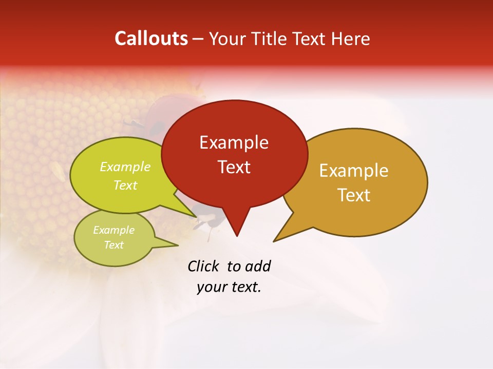 Daisy Red Zoology PowerPoint Template