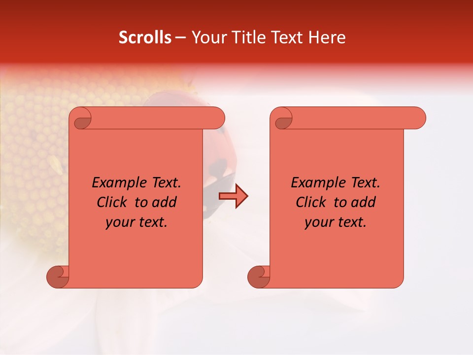 Daisy Red Zoology PowerPoint Template