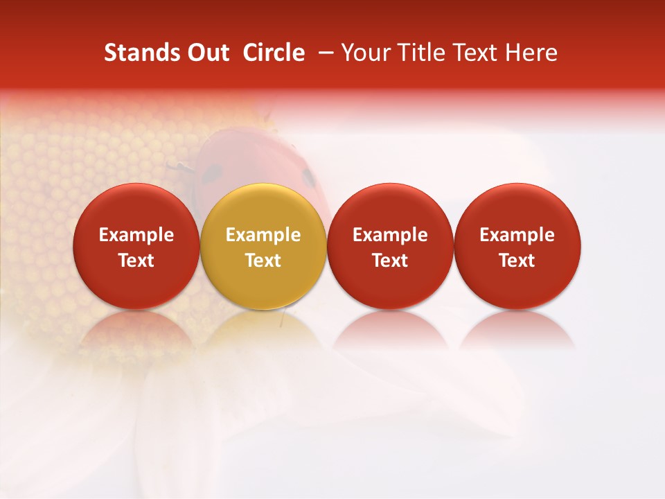 Daisy Red Zoology PowerPoint Template