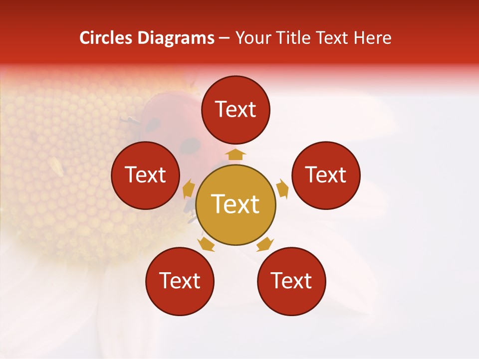 Daisy Red Zoology PowerPoint Template