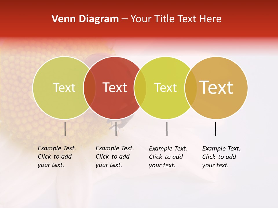 Daisy Red Zoology PowerPoint Template