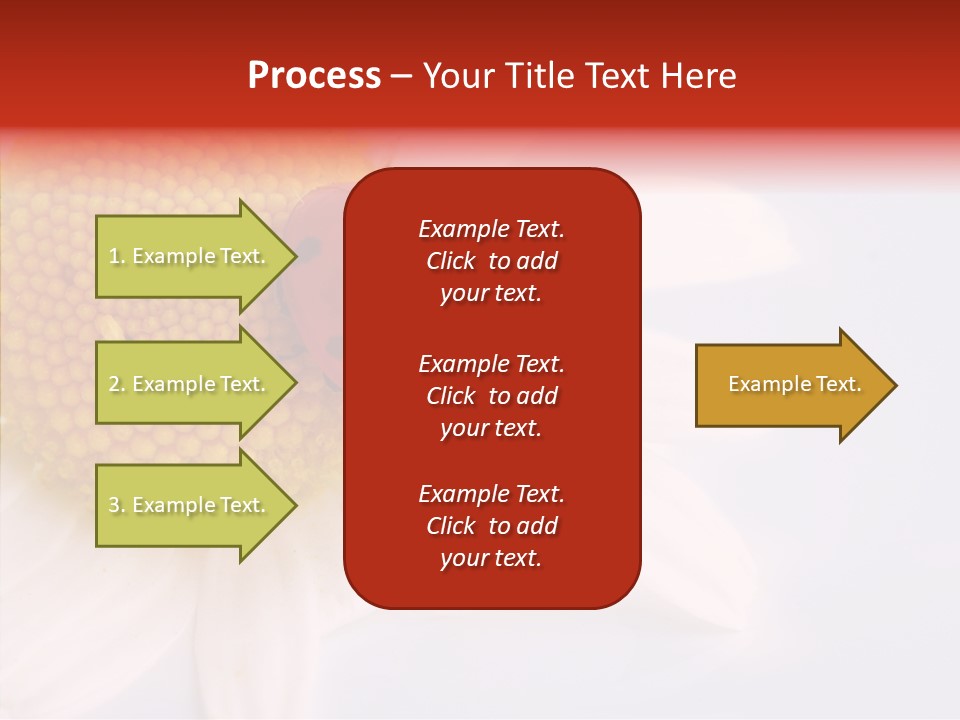 Daisy Red Zoology PowerPoint Template