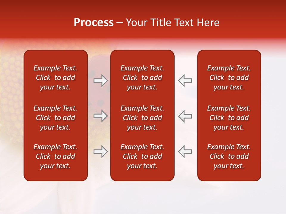 Daisy Red Zoology PowerPoint Template