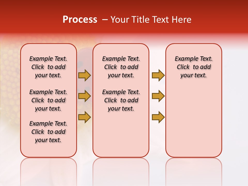 Daisy Red Zoology PowerPoint Template