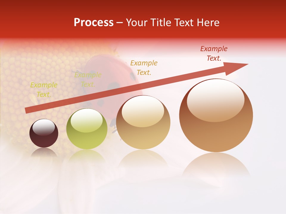 Daisy Red Zoology PowerPoint Template