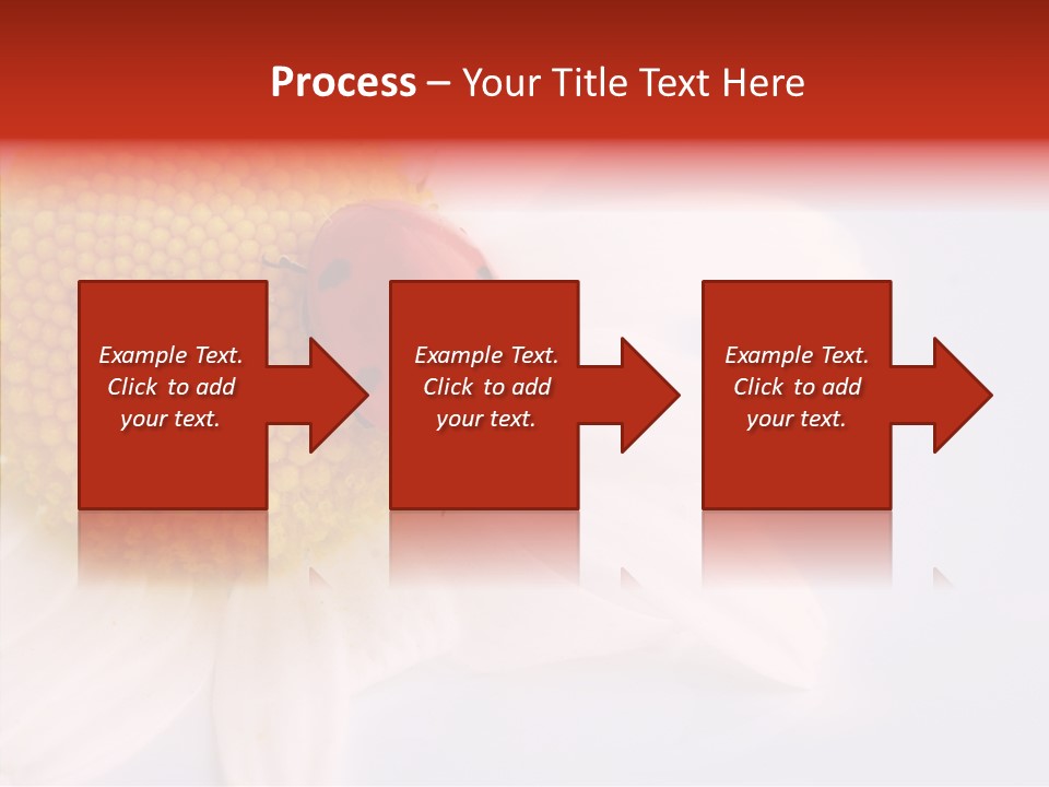 Daisy Red Zoology PowerPoint Template