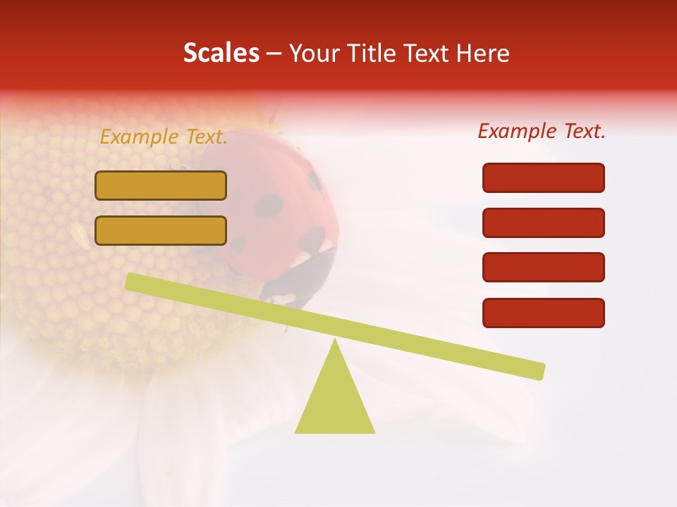 Daisy Red Zoology PowerPoint Template