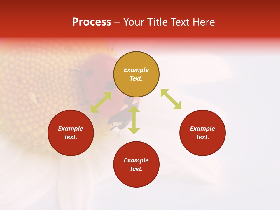 Daisy Red Zoology PowerPoint Template