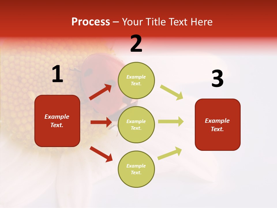 Daisy Red Zoology PowerPoint Template