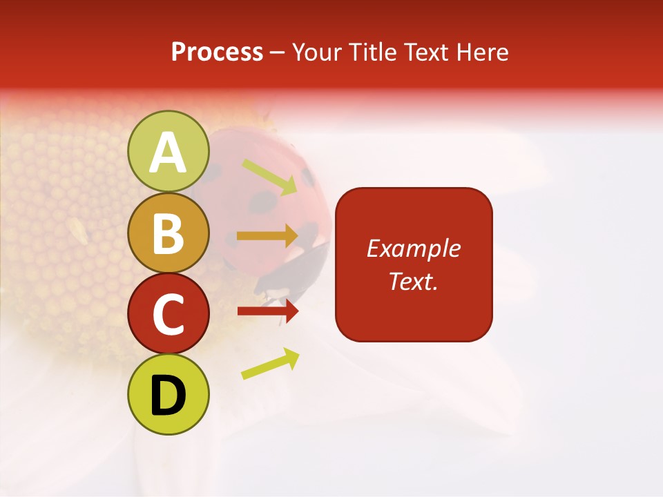 Daisy Red Zoology PowerPoint Template