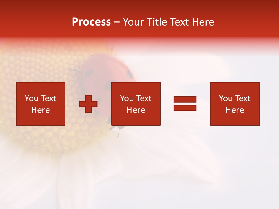 Daisy Red Zoology PowerPoint Template
