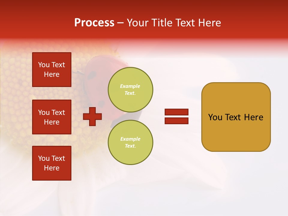 Daisy Red Zoology PowerPoint Template
