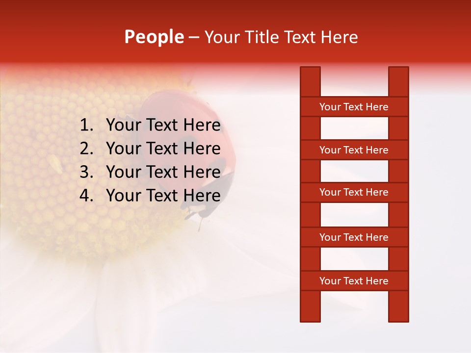 Daisy Red Zoology PowerPoint Template