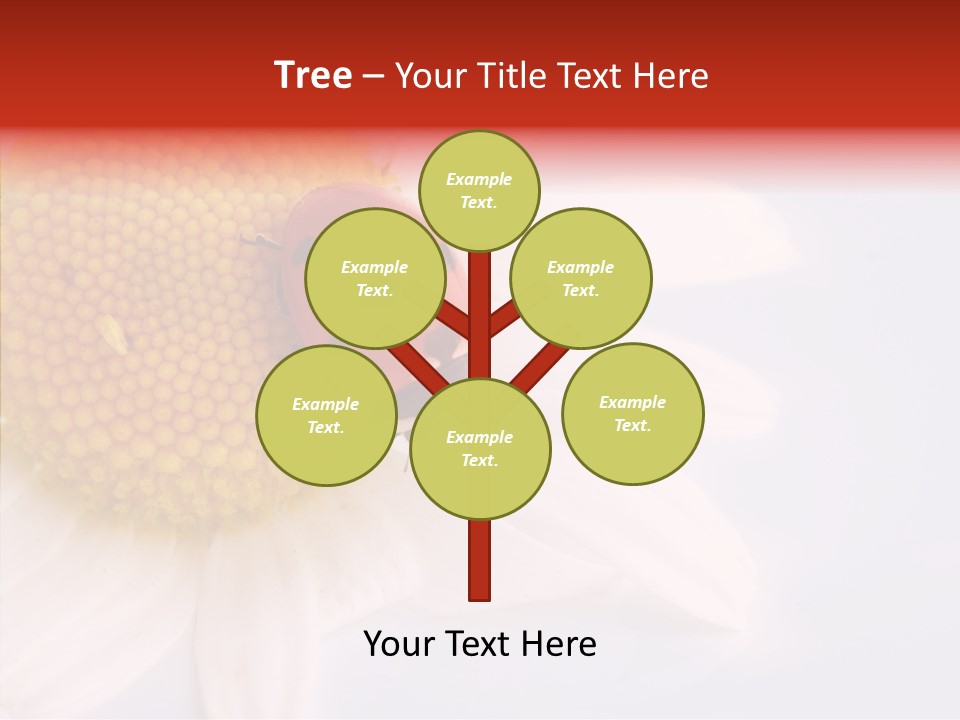 Daisy Red Zoology PowerPoint Template
