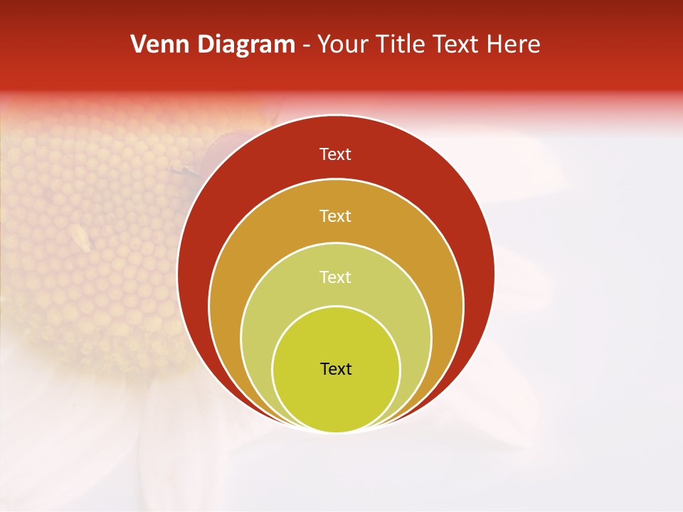 Daisy Red Zoology PowerPoint Template