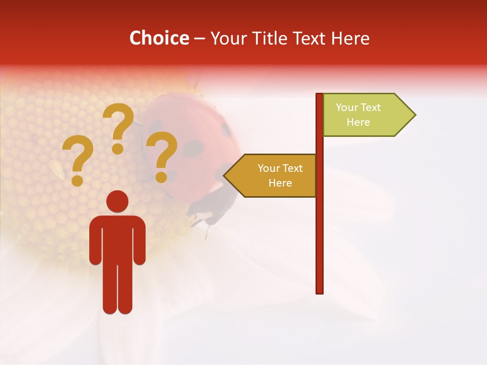 Daisy Red Zoology PowerPoint Template