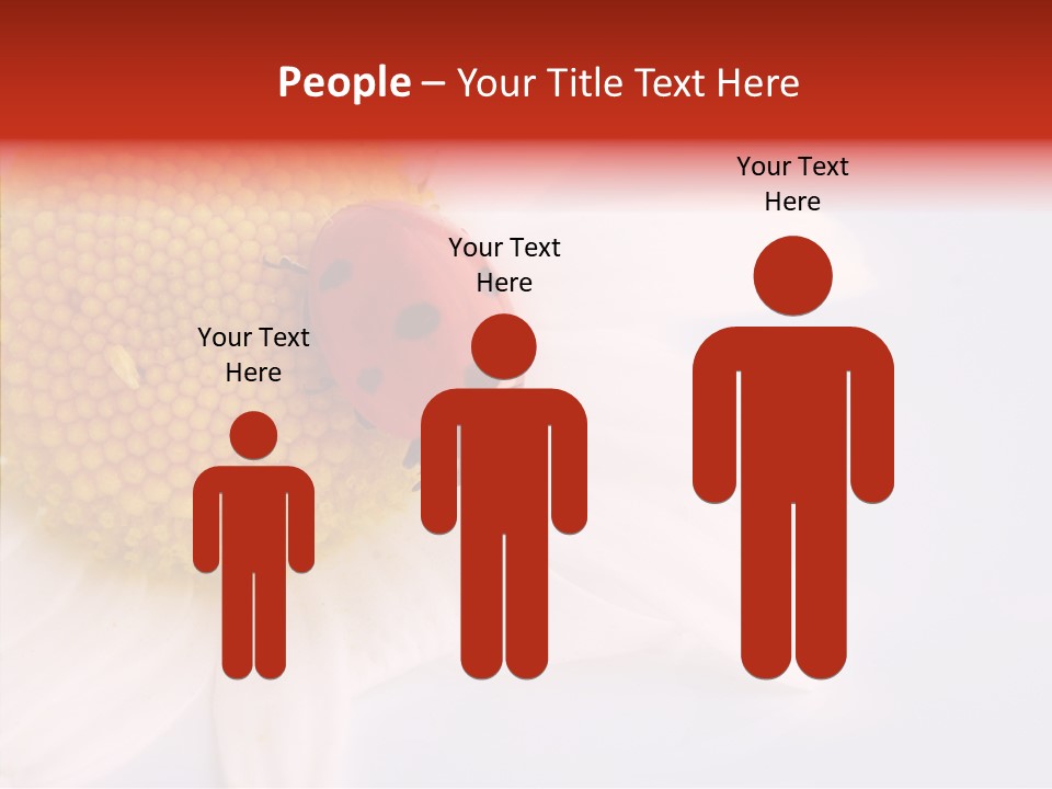 Daisy Red Zoology PowerPoint Template