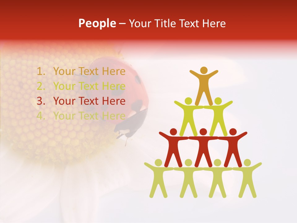 Daisy Red Zoology PowerPoint Template