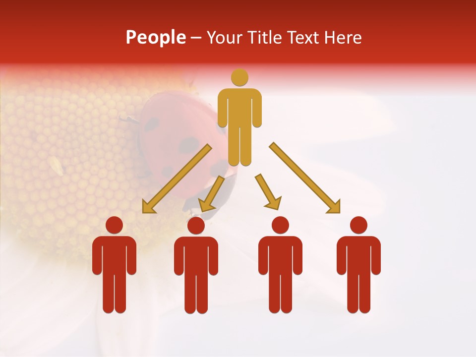 Daisy Red Zoology PowerPoint Template