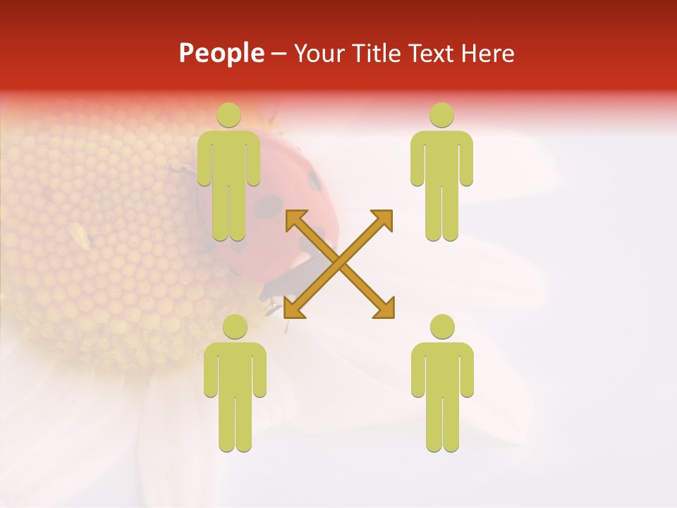 Daisy Red Zoology PowerPoint Template