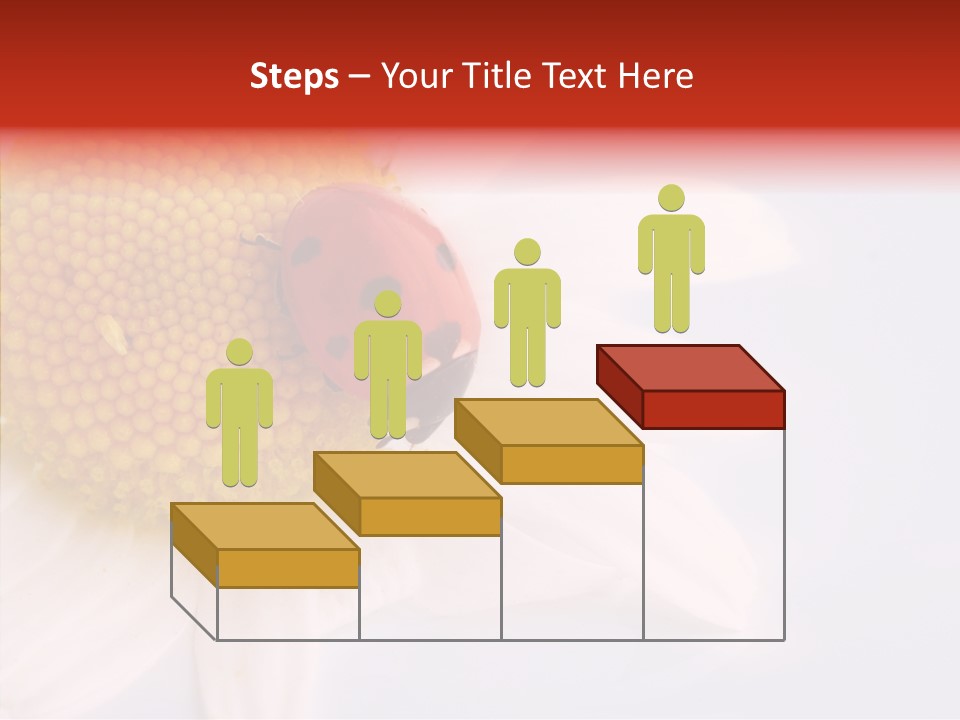 Daisy Red Zoology PowerPoint Template