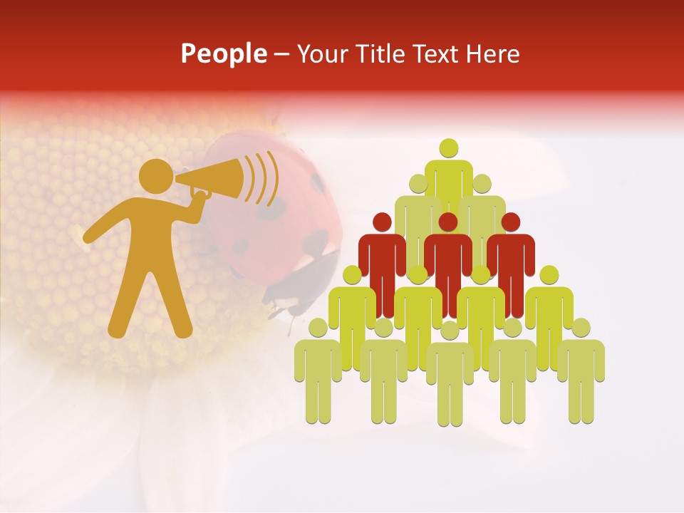 Daisy Red Zoology PowerPoint Template