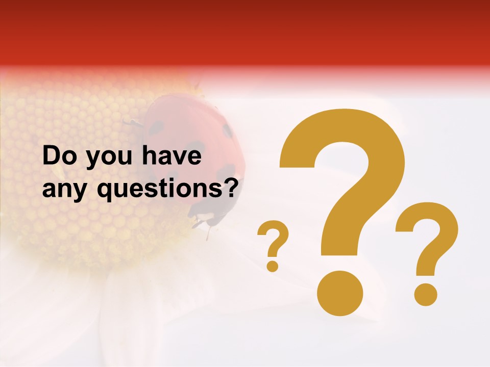 Daisy Red Zoology PowerPoint Template