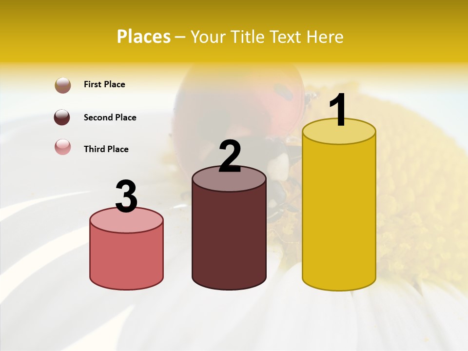 Blossom Background Insect PowerPoint Template