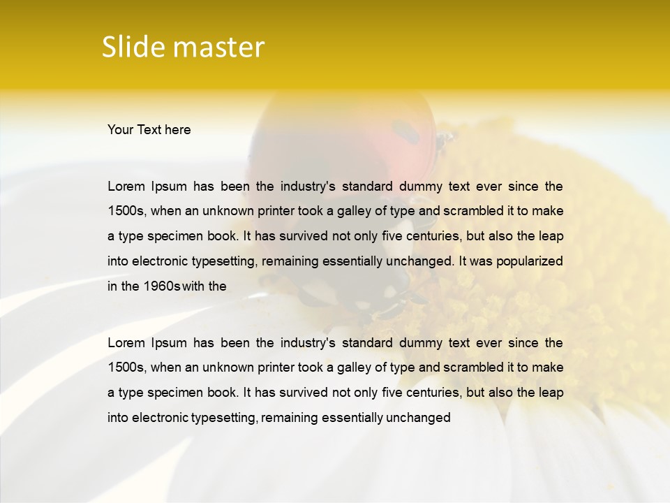 Blossom Background Insect PowerPoint Template