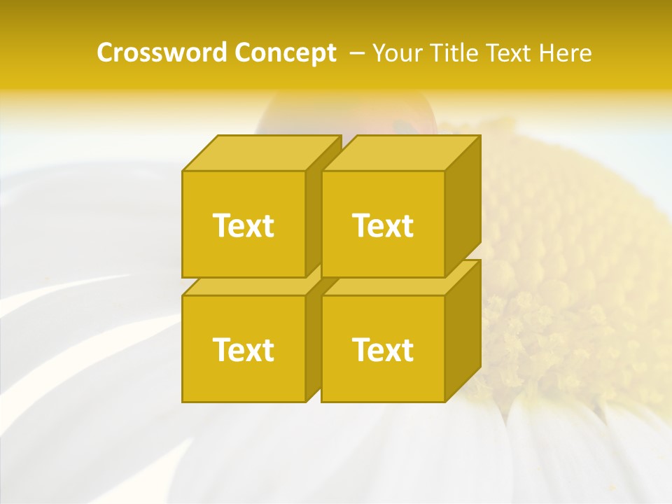 Blossom Background Insect PowerPoint Template