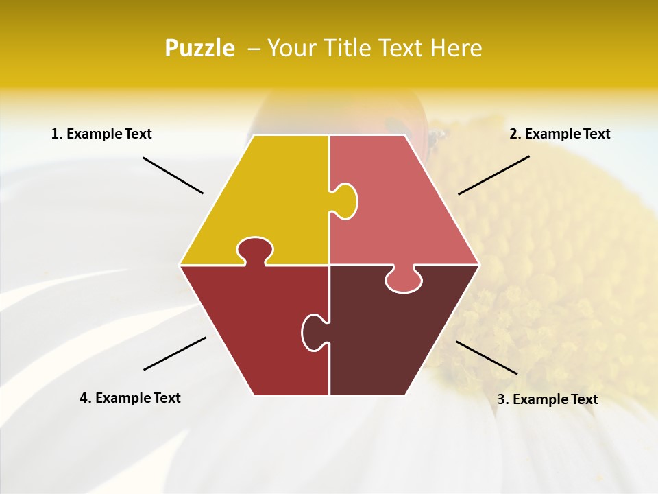 Blossom Background Insect PowerPoint Template