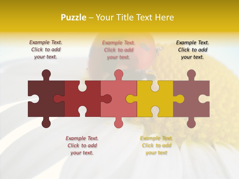 Blossom Background Insect PowerPoint Template