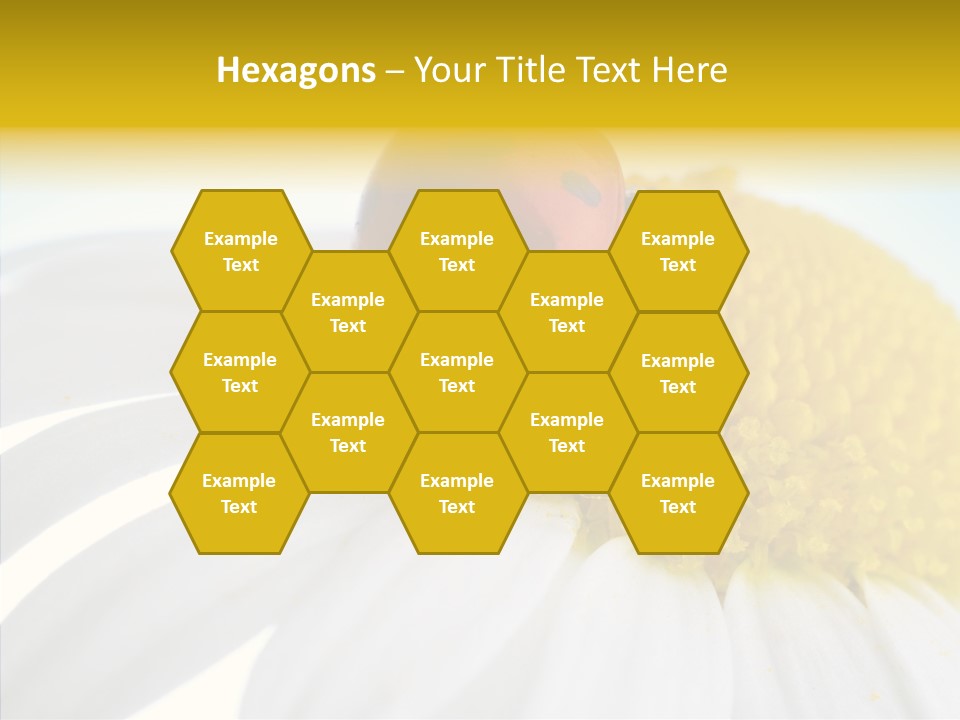 Blossom Background Insect PowerPoint Template