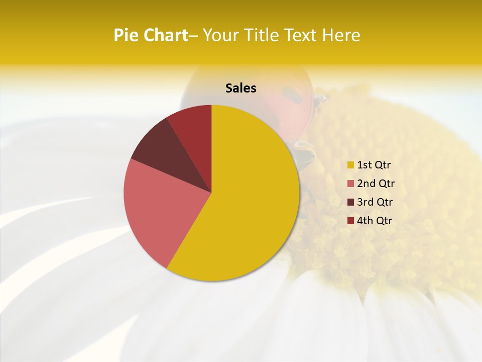 Blossom Background Insect PowerPoint Template