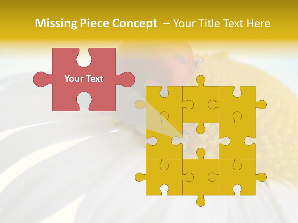 Blossom Background Insect PowerPoint Template