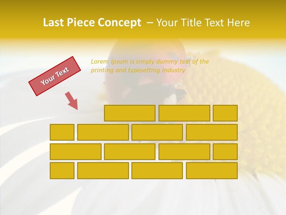 Blossom Background Insect PowerPoint Template